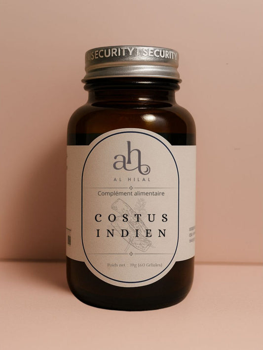 COSTUS INDIEN